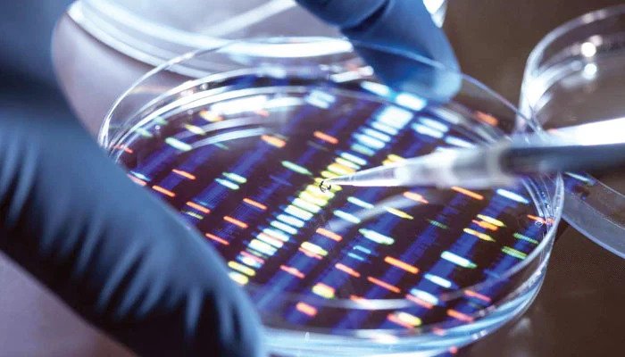 جینیات کے میدان میں پیش رفت